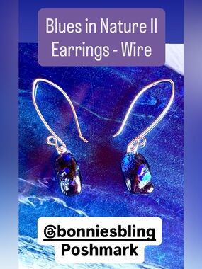 Bonnie’s Bling One of a Kind Fused Glass Jewelry and Accessories to Wear.